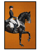 Horse rider rug