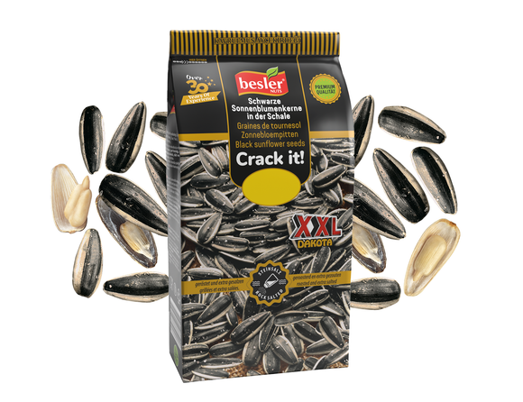 Pestki słonecznika Dakota extra solone Besler 250 g